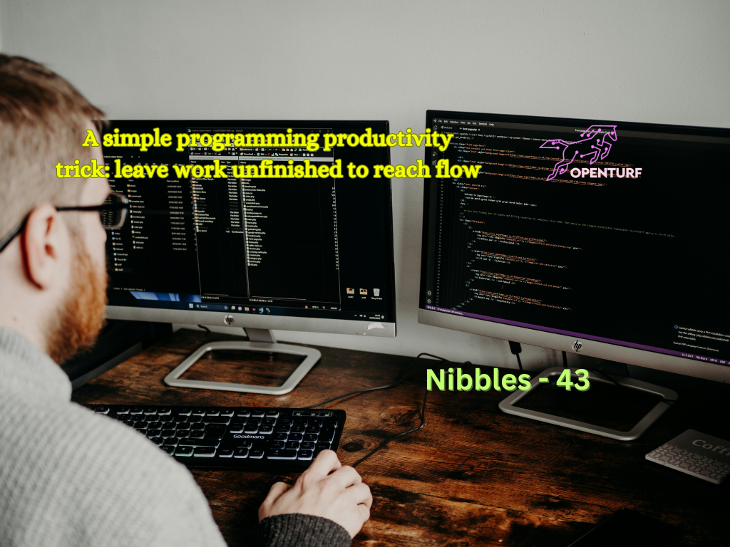 A simple programming productivity trick: leave work unfinished to reach flow - Openturf Technologies
